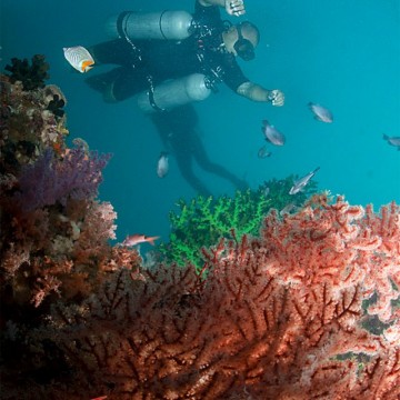 Advanced Sidemount Diver